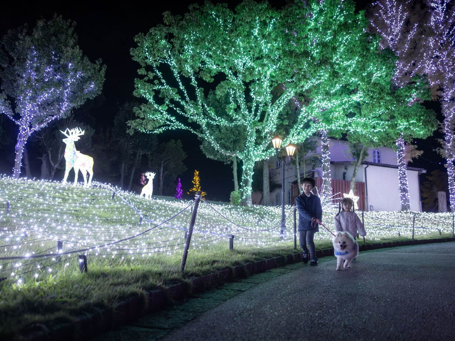 大阪・堺「ハーベストの丘」24年冬イルミネーション - 光るトナカイや遊具、クリスマスマーケットも｜写真19