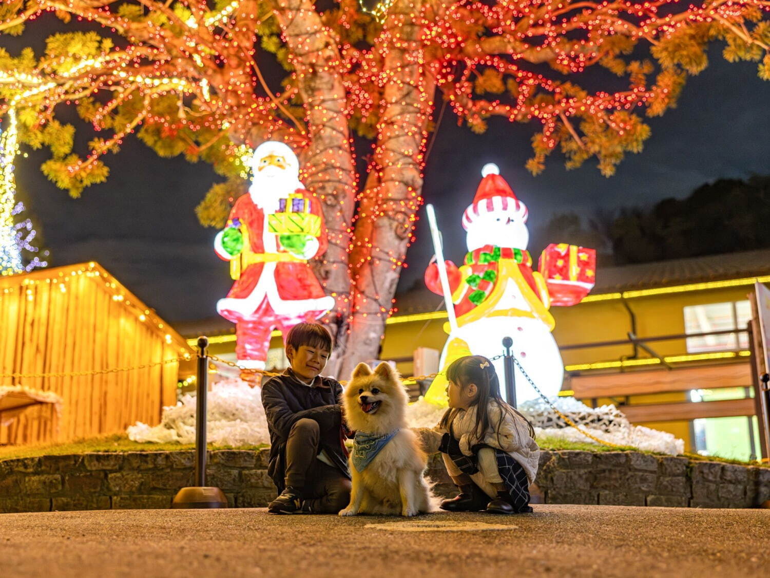 大阪・堺「ハーベストの丘」24年冬イルミネーション - 光るトナカイや遊具、クリスマスマーケットも｜写真13