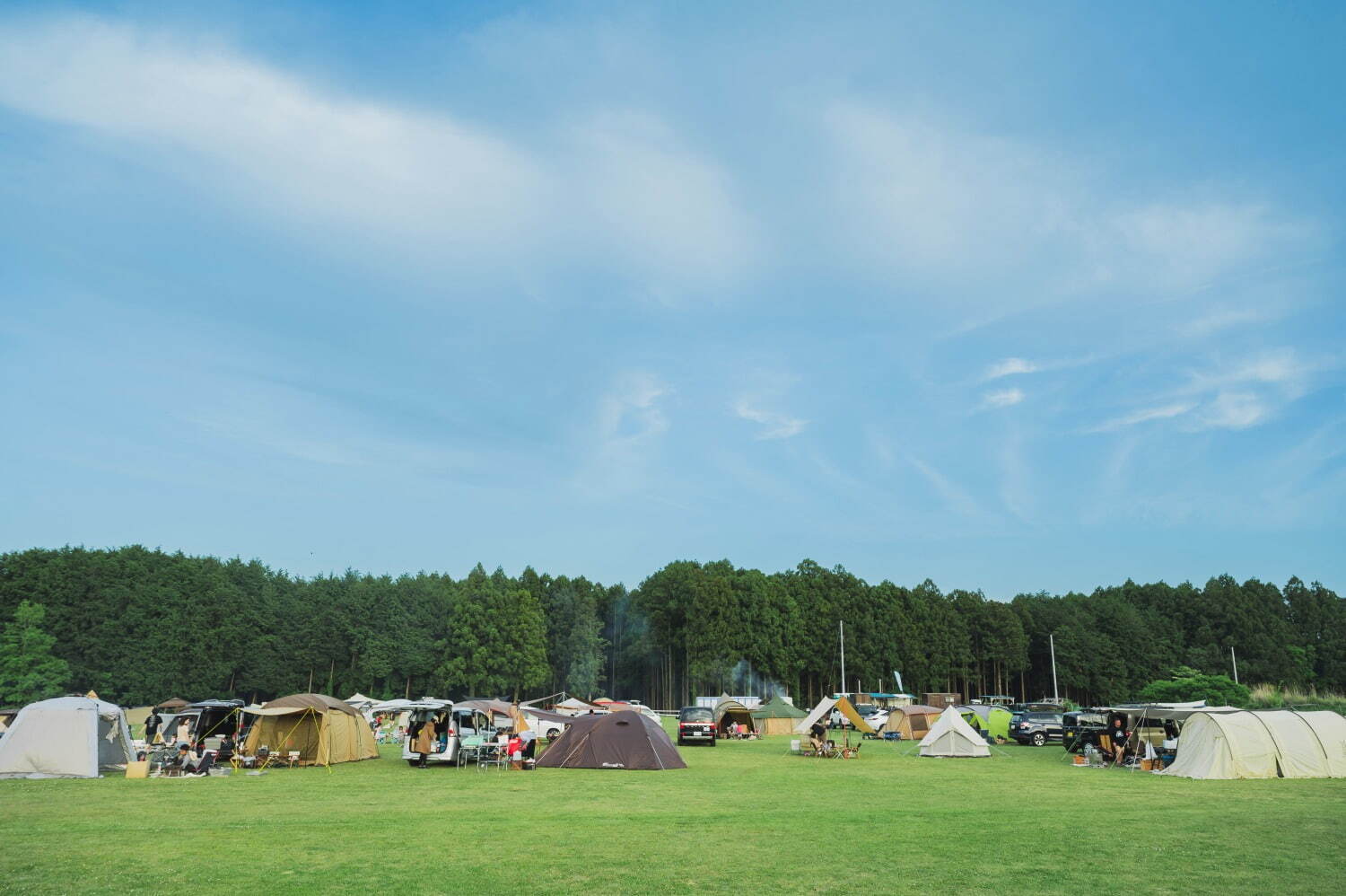 音楽フェス「アコチルキャンプ 2025」静岡・富士山樹空の森で開催、チケット＆出演者情報｜写真2