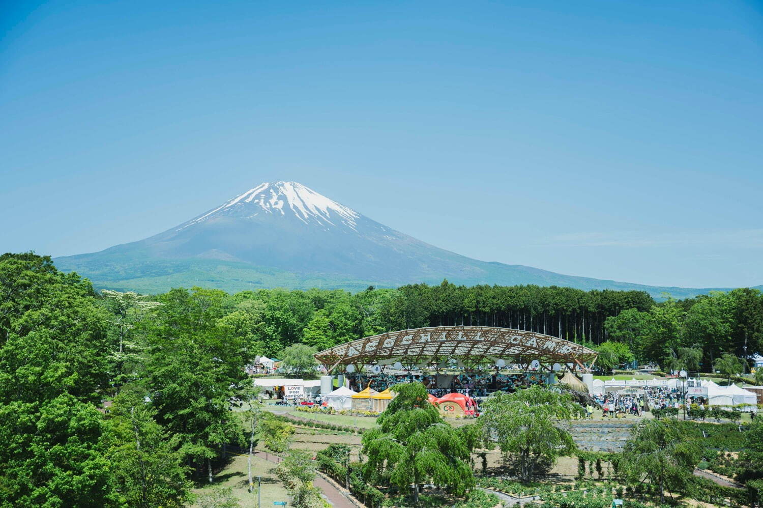 音楽フェス「アコチルキャンプ 2025」静岡・富士山樹空の森で開催、チケット＆出演者情報｜写真4