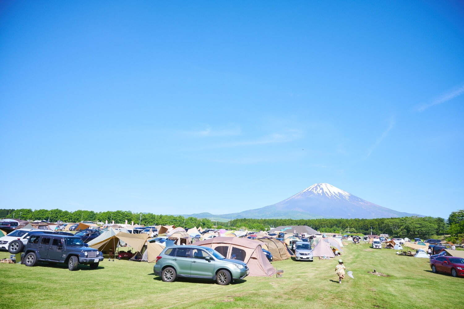 音楽フェス「アコチルキャンプ 2025」静岡・富士山樹空の森で開催、チケット＆出演者情報｜写真10