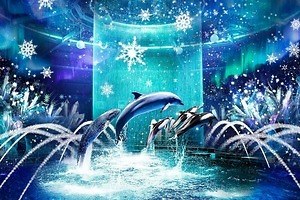 マクセル アクアパーク品川の冬イベント、雪やオーロラに包まれるアクアリウム＆イルカと光のショー