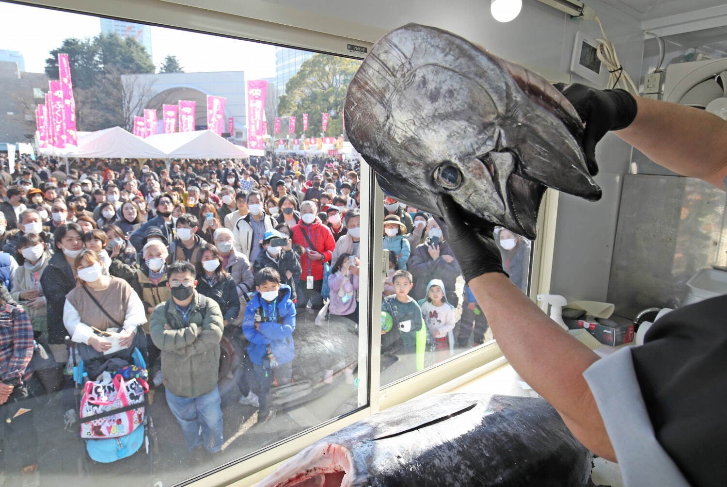 日本最大級の魚介グルメイベント「魚ジャパンフェス」代々木公園で、海鮮丼や猟師飯など海の幸が集結｜写真7