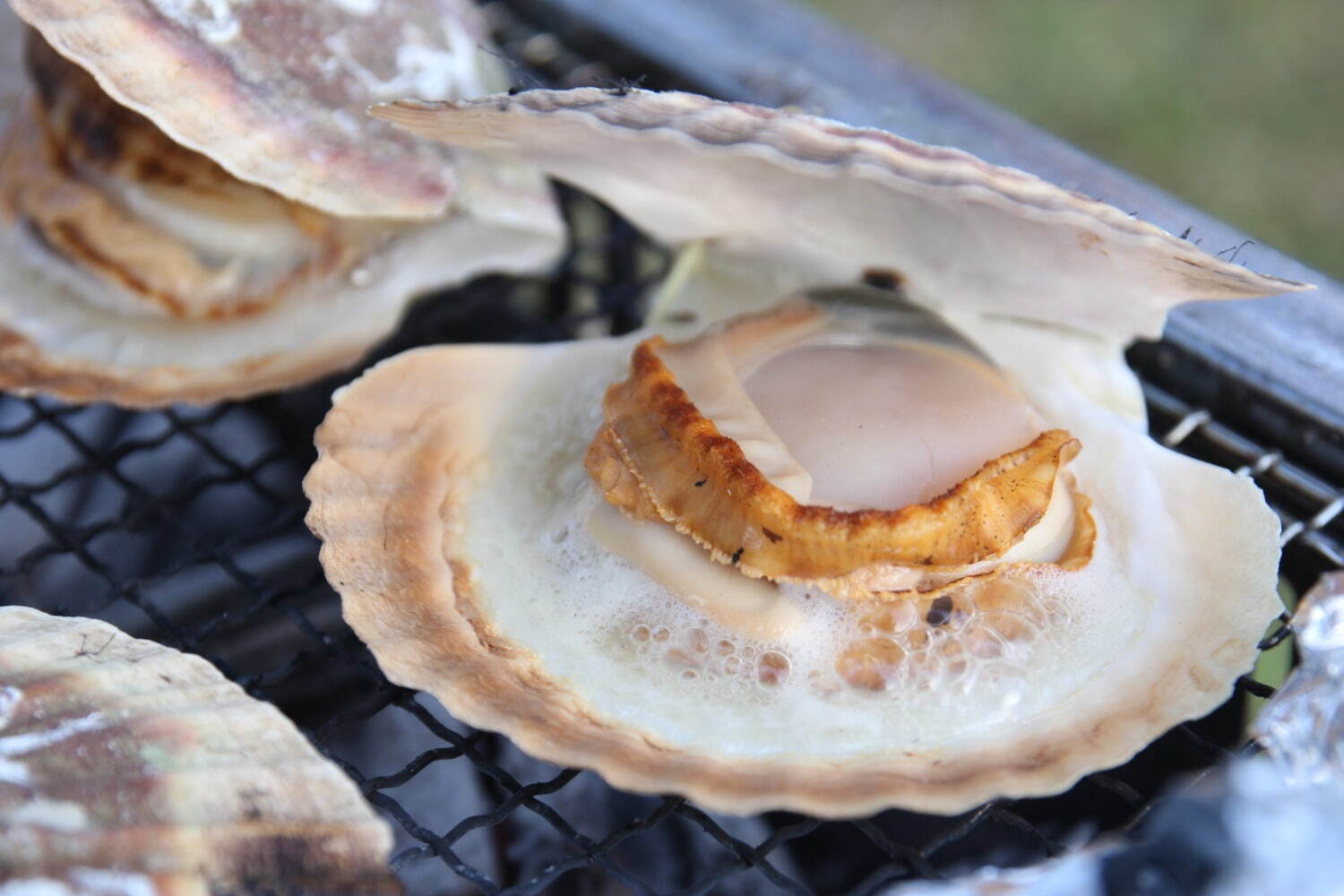 日本最大級の魚介グルメイベント「魚ジャパンフェス」代々木公園で、海鮮丼や猟師飯など海の幸が集結｜写真25