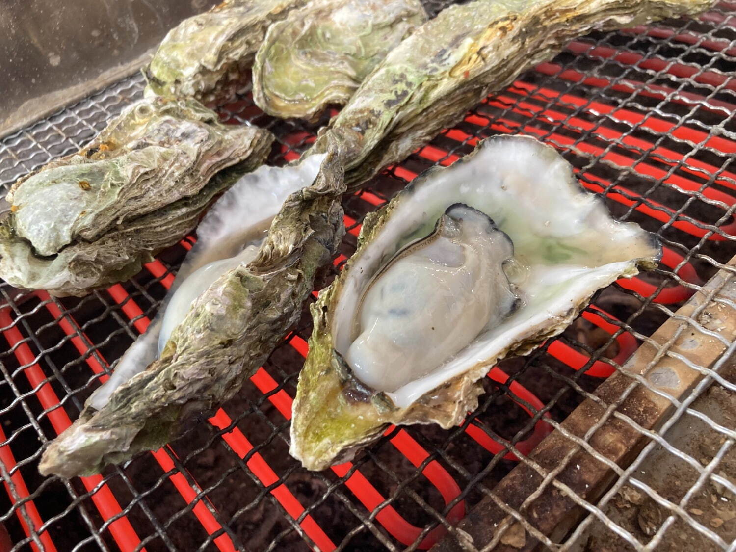 日本最大級の魚介グルメイベント「魚ジャパンフェス」代々木公園で、海鮮丼や猟師飯など海の幸が集結｜写真28