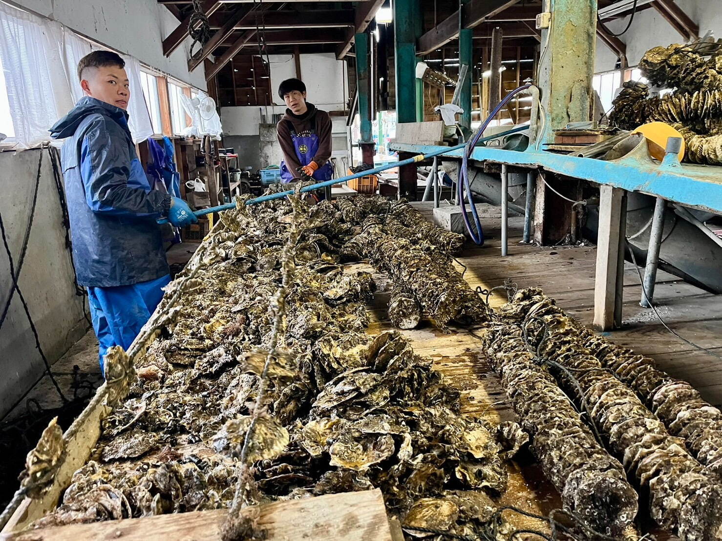 日本最大級の魚介グルメイベント「魚ジャパンフェス」代々木公園で、海鮮丼や猟師飯など海の幸が集結｜写真42