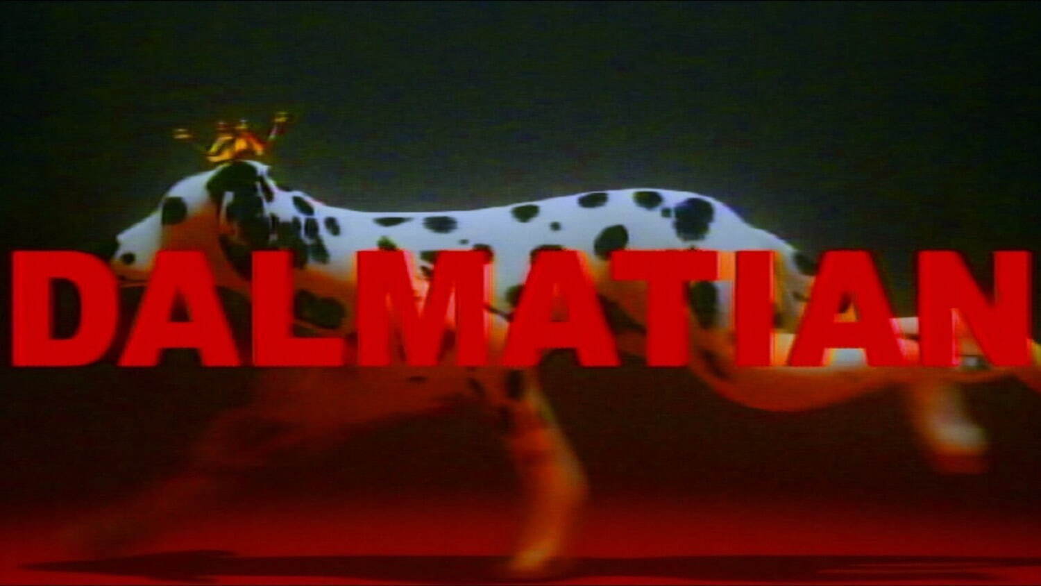 PEOPLE 1の新曲「DALMATIAN」クリスマスにゲリラ配信リリース｜写真3