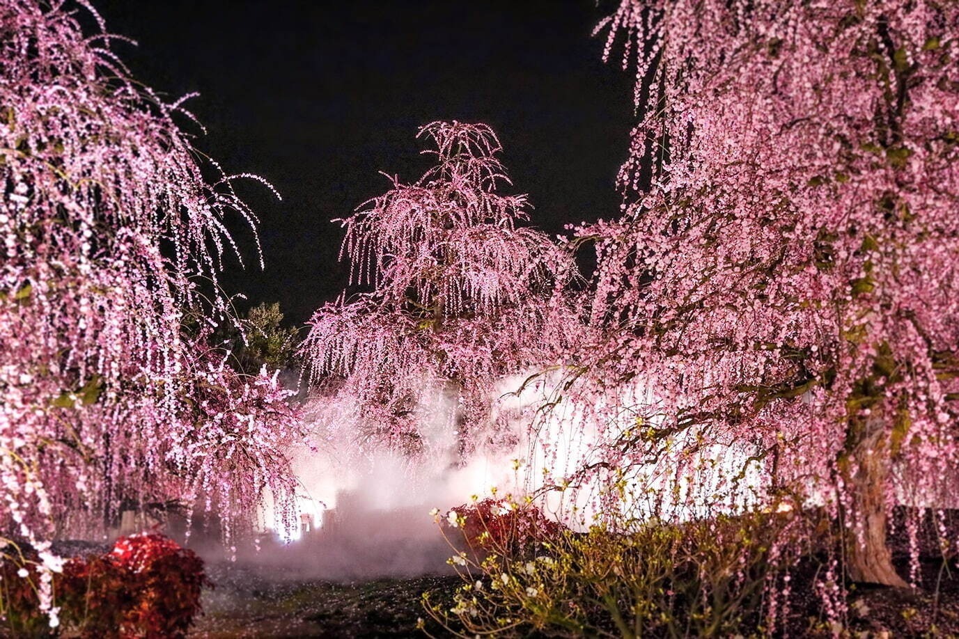 関西のおでかけイベント【2025年春】春休みの旅行や日帰り観光で行きたいおすすめスポット｜写真29