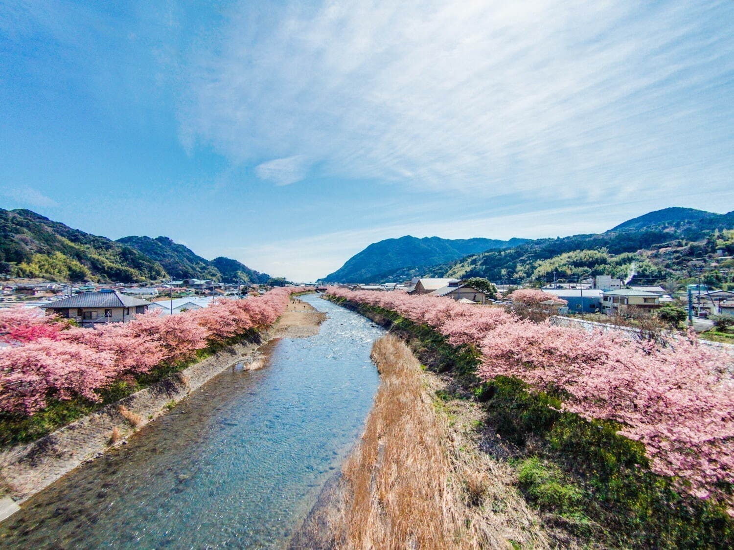 「お花見イベント2025」東京・大阪・福岡ほか、開花時期の桜祭りなどおすすめ観光スポット｜写真12