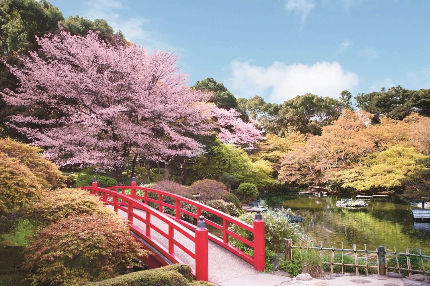 「お花見イベント2025」東京・大阪・福岡ほか、開花時期の桜祭りなどおすすめ観光スポット｜写真28