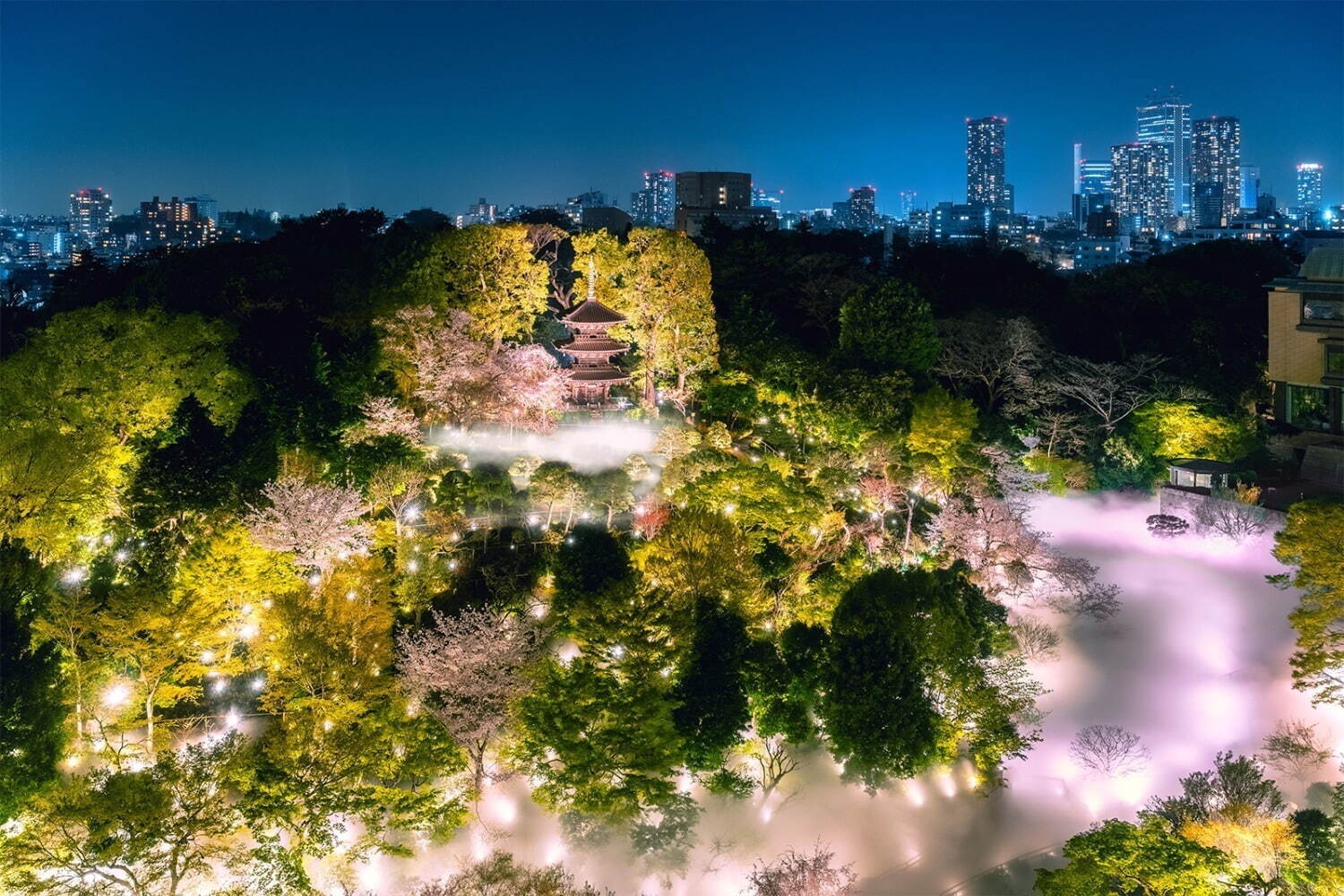 「お花見イベント2025」東京・大阪・福岡ほか、開花時期の桜祭りなどおすすめ観光スポット｜写真11