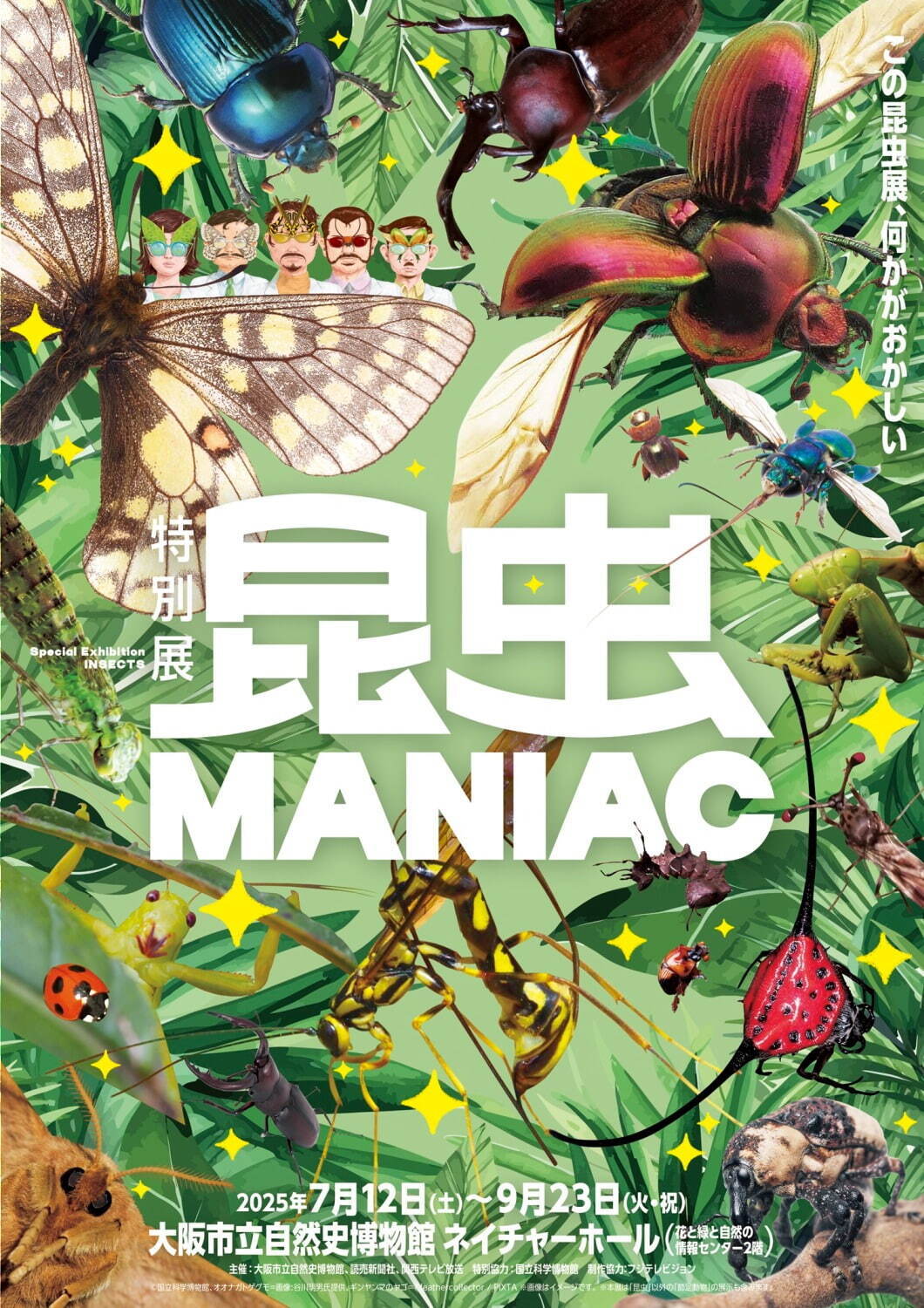 特別展「昆虫 MANIAC」大阪市立自然史博物館で、カブトムシやクモなど昆虫のマニアックな魅力に迫る｜写真25