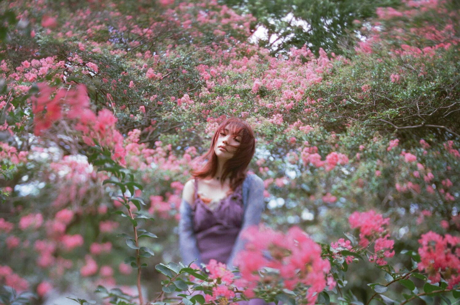 つくし リラの花咲くけものみち｜写真1