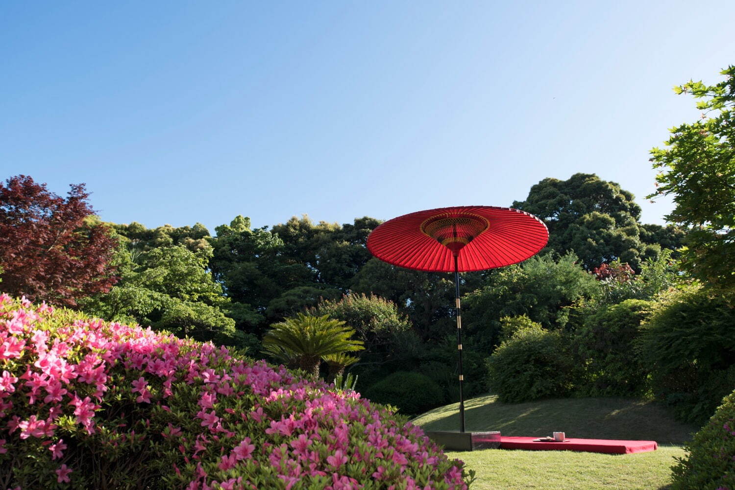 星野リゾートの温泉旅館「界 伊東」で花見イベント、フジやアジサイが咲く庭園散策＆提灯づくり体験｜写真1