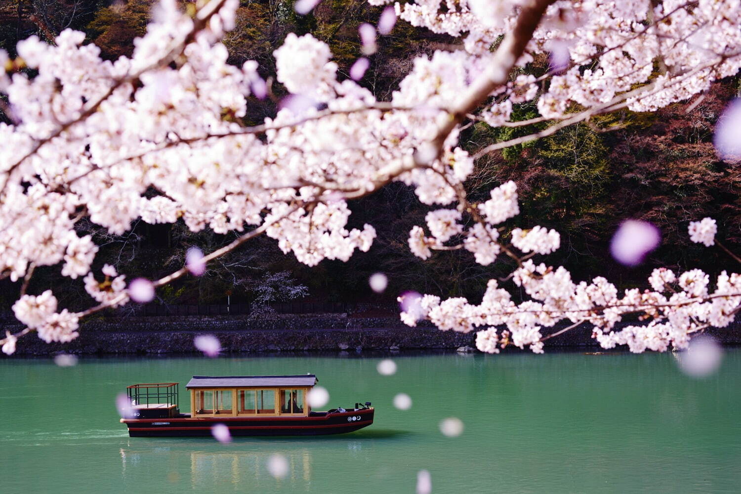 星のや京都“貸し切り花桜テラス”で嵐山のお花見滞在プラン、特別ディナー＆スイーツも｜写真11