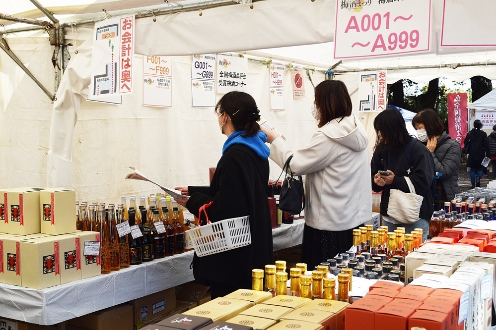 「全国梅酒まつり」茨城・常磐神社で全国111種類以上を飲み比べ、“獺祭梅酒”＆かぼす梅酒も販売｜写真2