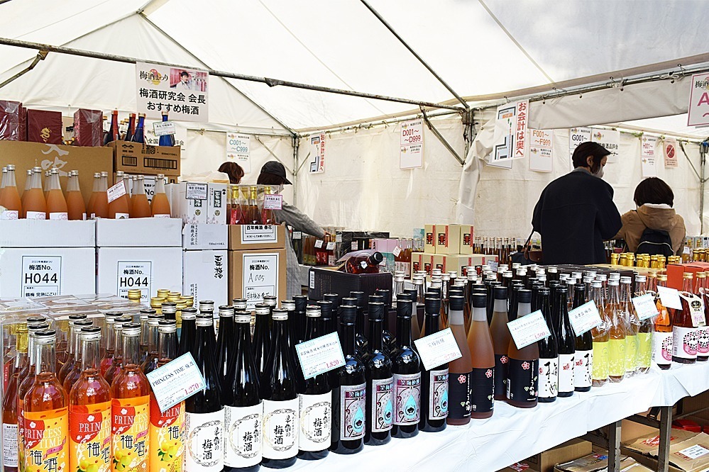 「全国梅酒まつり」茨城・常磐神社で全国111種類以上を飲み比べ、“獺祭梅酒”＆かぼす梅酒も販売｜写真1