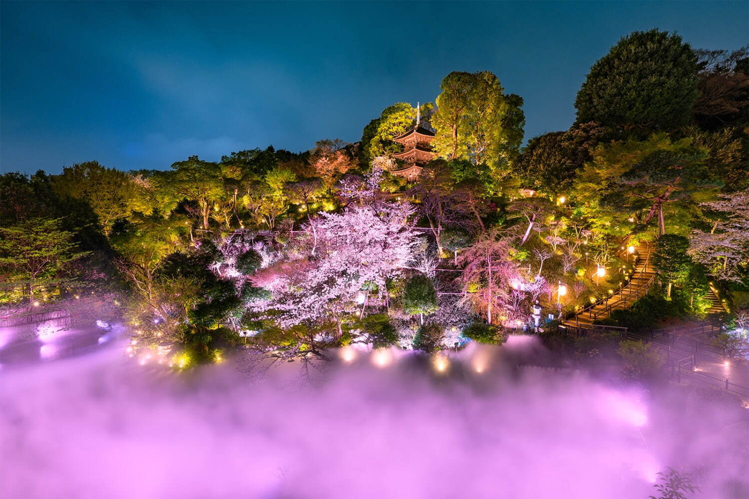 ホテル椿山荘東京“庭園の椿と桜”楽しむ花見ランチ＆ディナービュッフェ、夜桜ライトアップの雲海も｜写真5