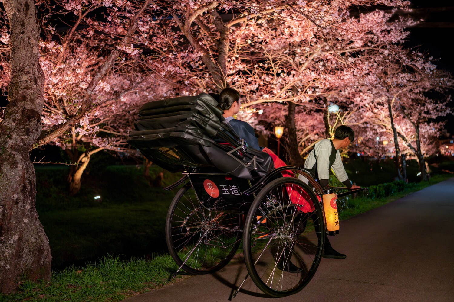 夜桜人力車体験 1組12,000円