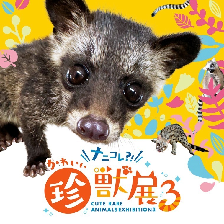 「ナニコレ?!かわいい珍獣展3」福岡・博多にキュートな珍獣集結、フェネック抱っこ体験も｜写真1