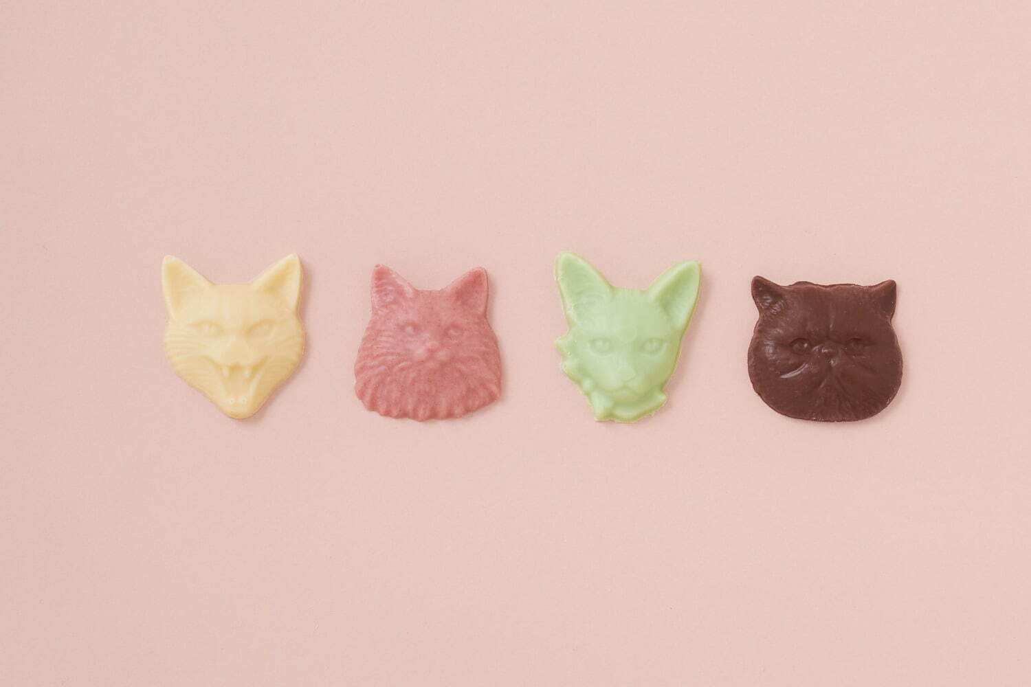 ファーファー×フィリーチョコレート、煌めくキャットボタンカーディガン＆ねこ刺繍チェーンバッグ｜写真59