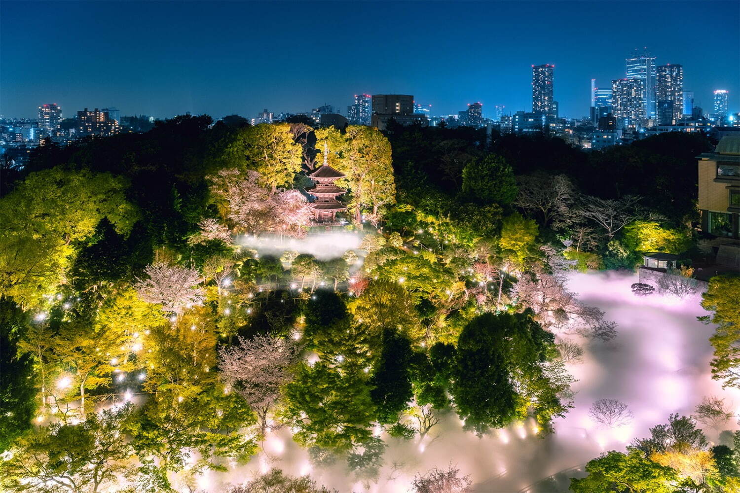 ホテル椿山荘東京、“桜ライトアップ×霧”の庭園演出「夜桜雲海」春限定スイーツも｜写真1