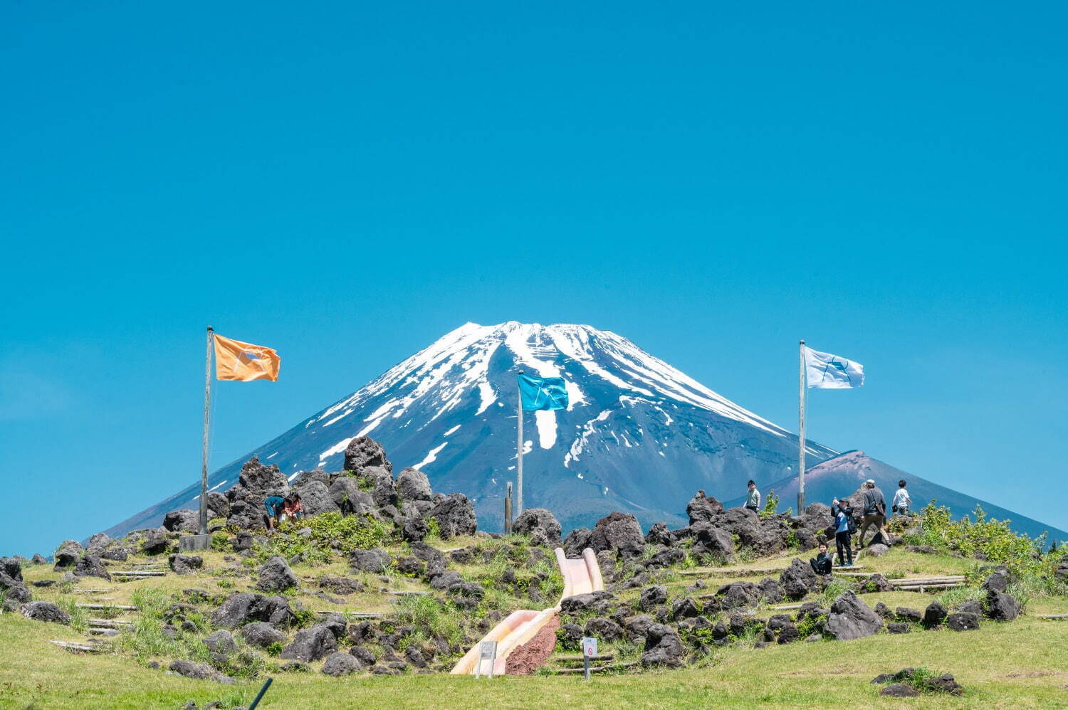 フジ アンド サン'25 富士山こどもの国｜写真11