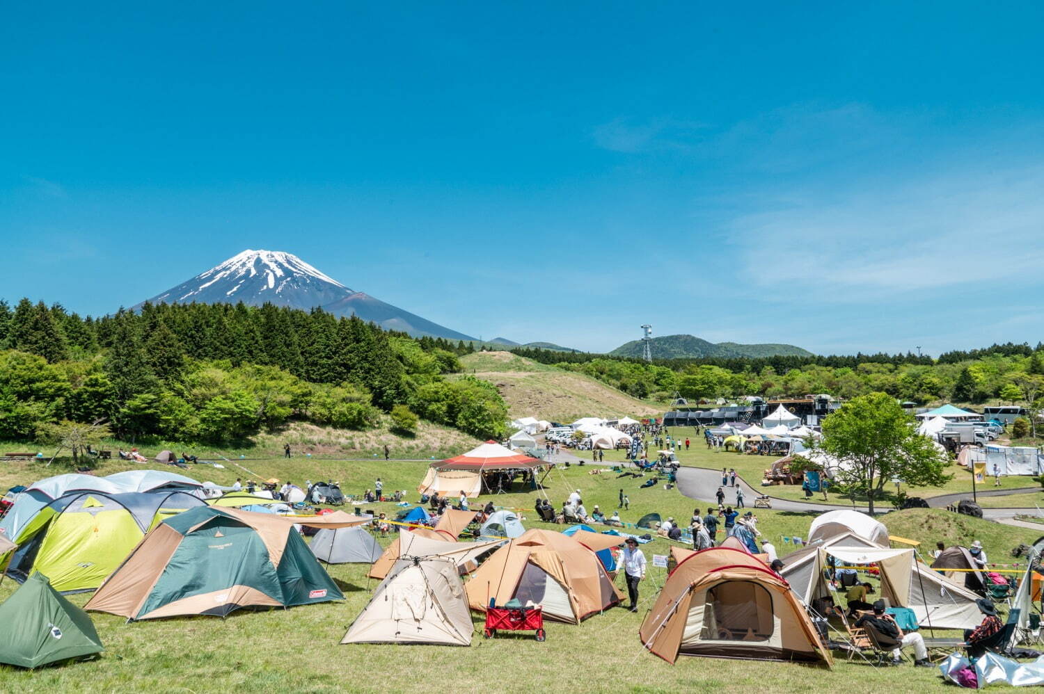 フジ アンド サン'25 富士山こどもの国｜写真12