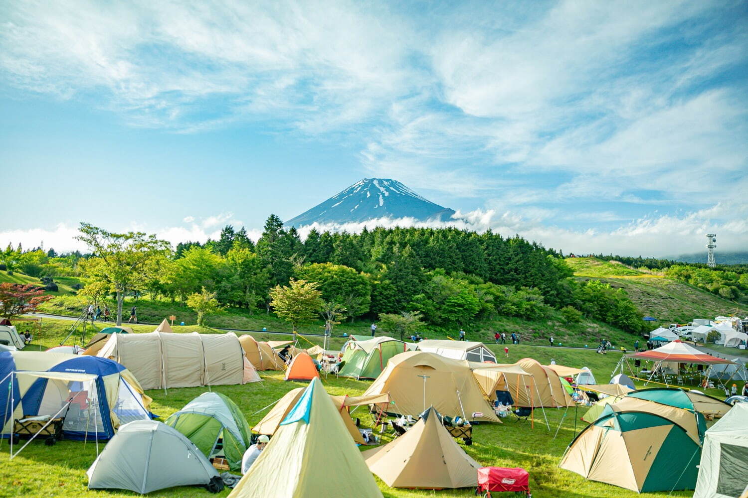 フジ アンド サン'25 富士山こどもの国｜写真15