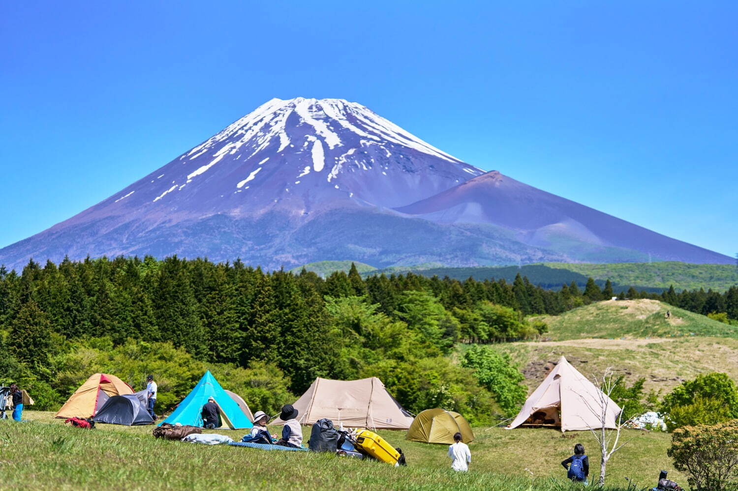 フジ アンド サン'25 富士山こどもの国｜写真14