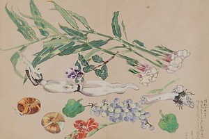 「植物」テーマの世田谷美術館コレクション展、“花や風景”描いた絵画・彫刻・屏風など約130点