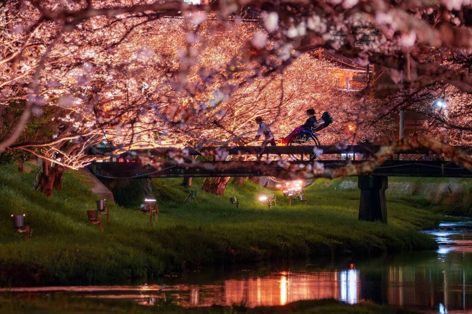 「全国の桜名所＆桜まつり2025」東京・大阪・京都などの人気花見スポット、開花/満開予想も｜写真8