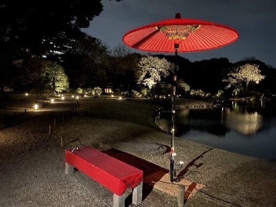 駒込・六義園の夜桜ライトアップ、幻想的なしだれ桜や和歌のプロジェクションマッピング｜写真3