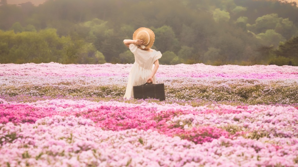 広島・フラワーヴィレッジ 花夢の里「芝桜とネモフィラの丘」広大な丘一面を覆い尽くす芝桜＆ネモフィラ｜写真2