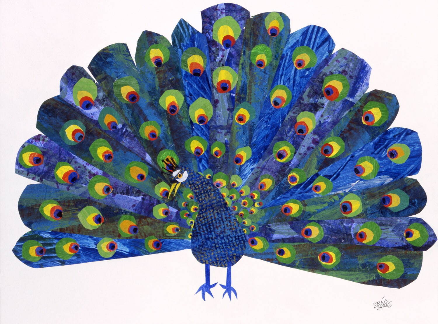 エリック・カール(アメリカ) くじゃく 1991年
Eric Carle,Peacock.Collection of The Chihiro Art Musium,©1999 by Penguin Random House LLC.