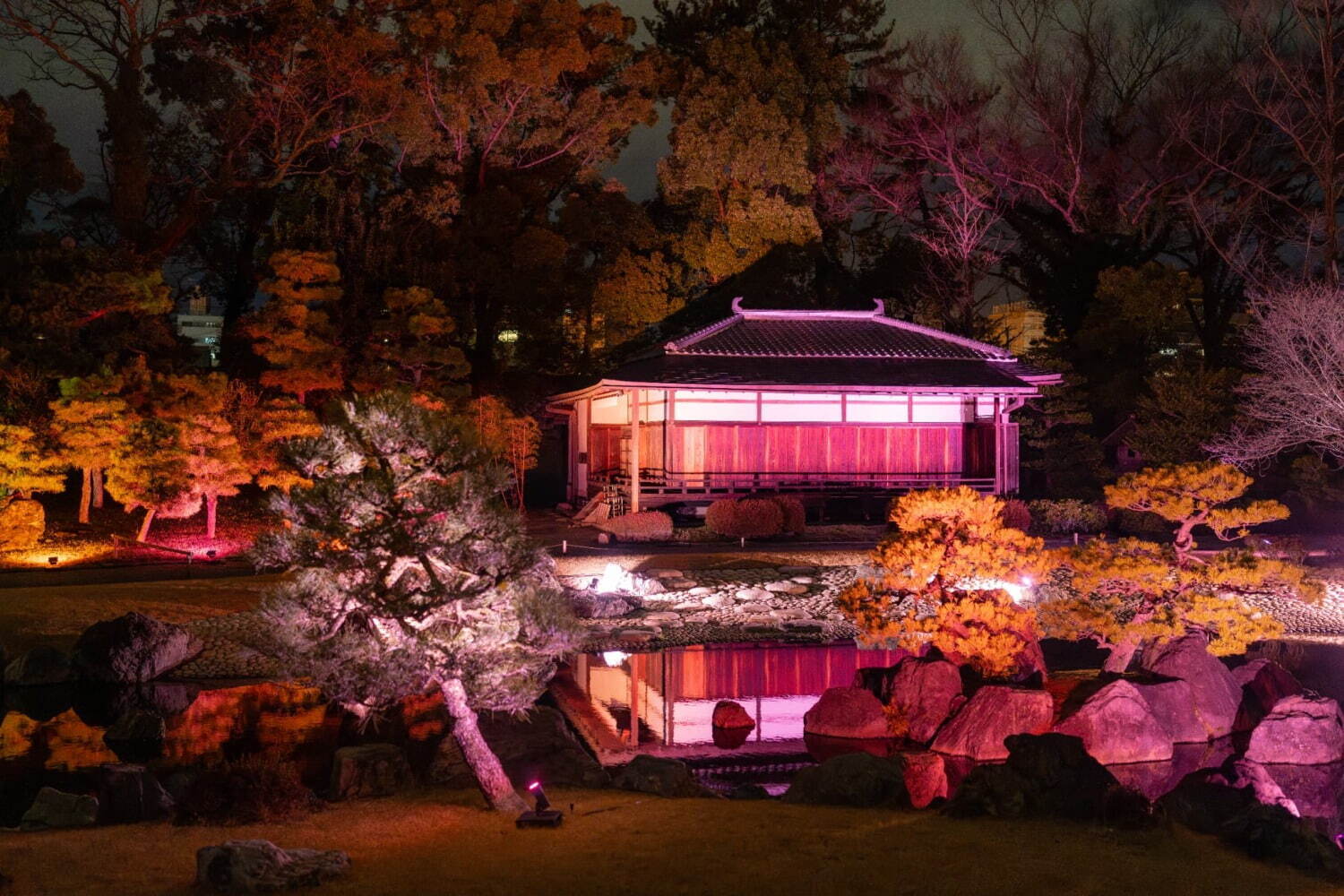 京都・二条城×ネイキッドの桜アートイベント、幻想的なライトアップや花見楽しむナイトピクニックも｜写真9