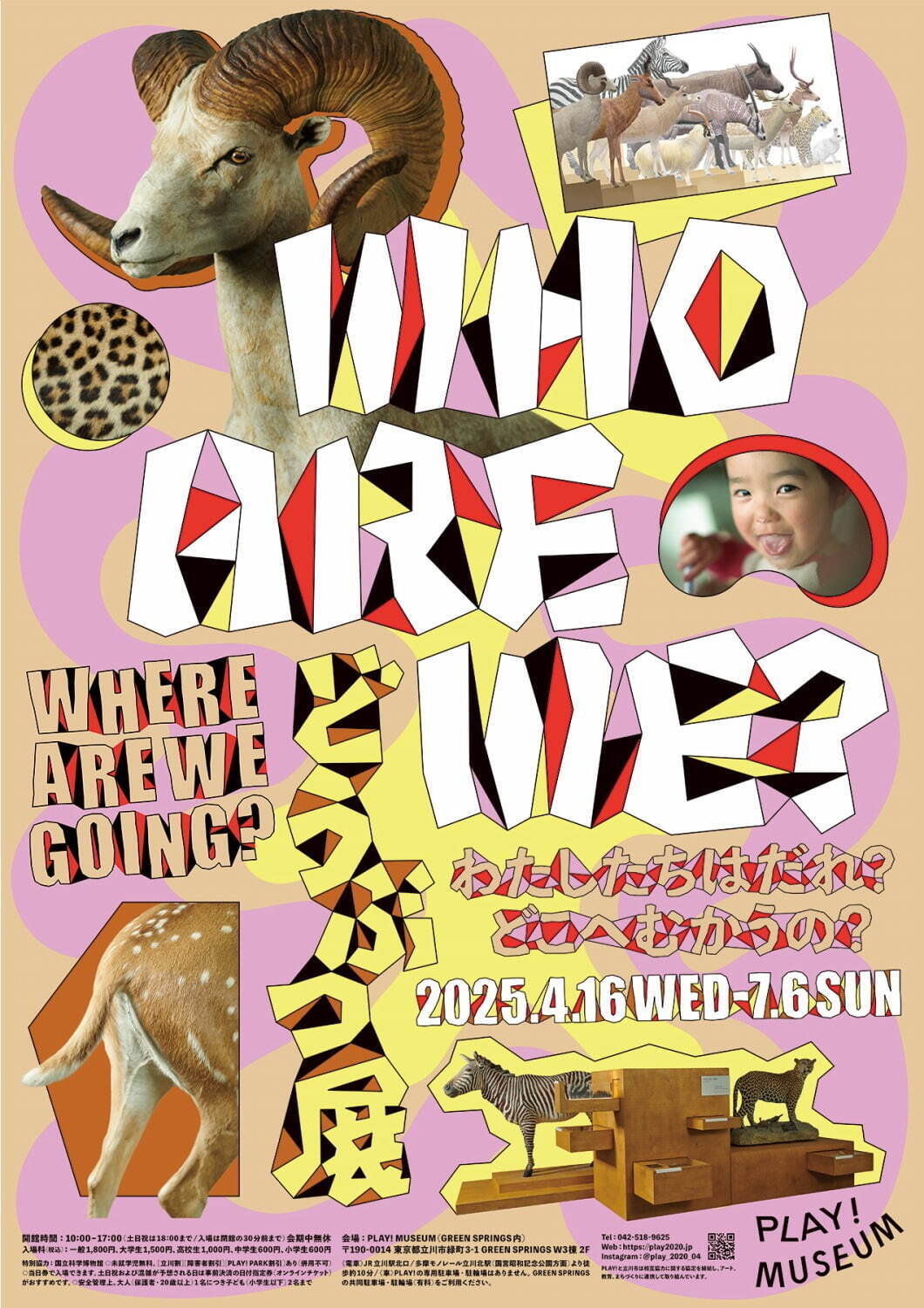 「どうぶつ展」東京・プレイ ミュージアムで、世界屈指の動物標本＆名和晃平らの“動物アート”集結｜写真19