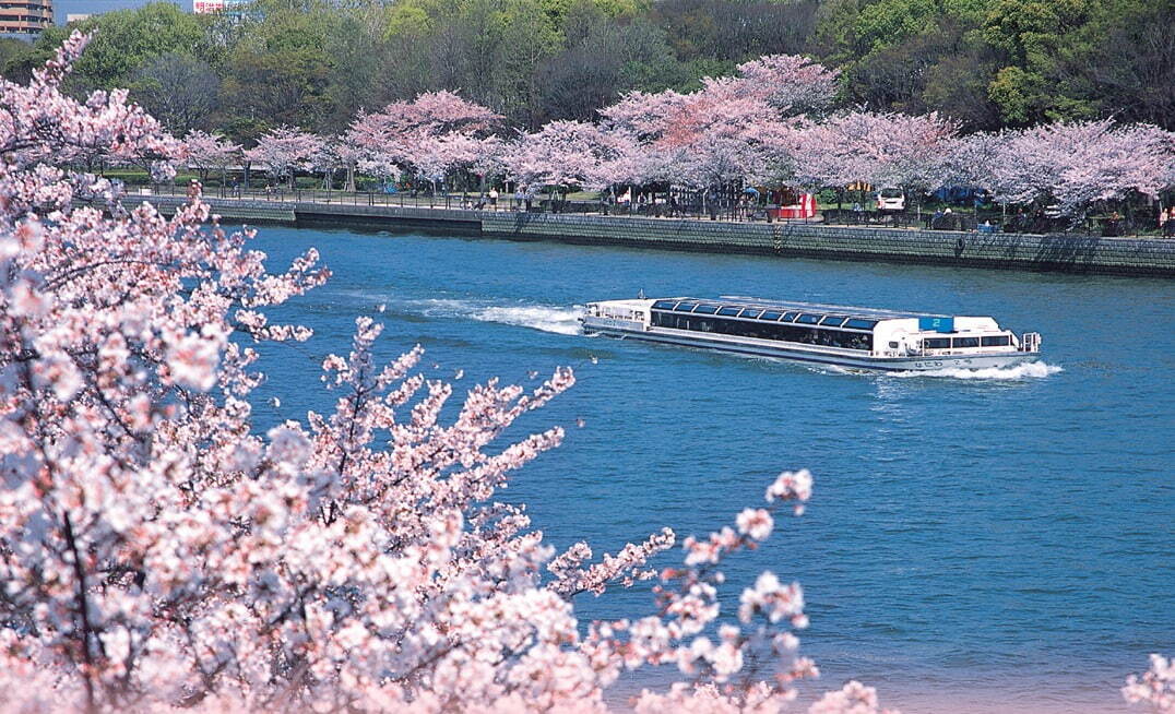 帝国ホテル 大阪「桜まつり」花見クルーズ付き宿泊プラン、桜のパフェやパンケーキも｜写真10