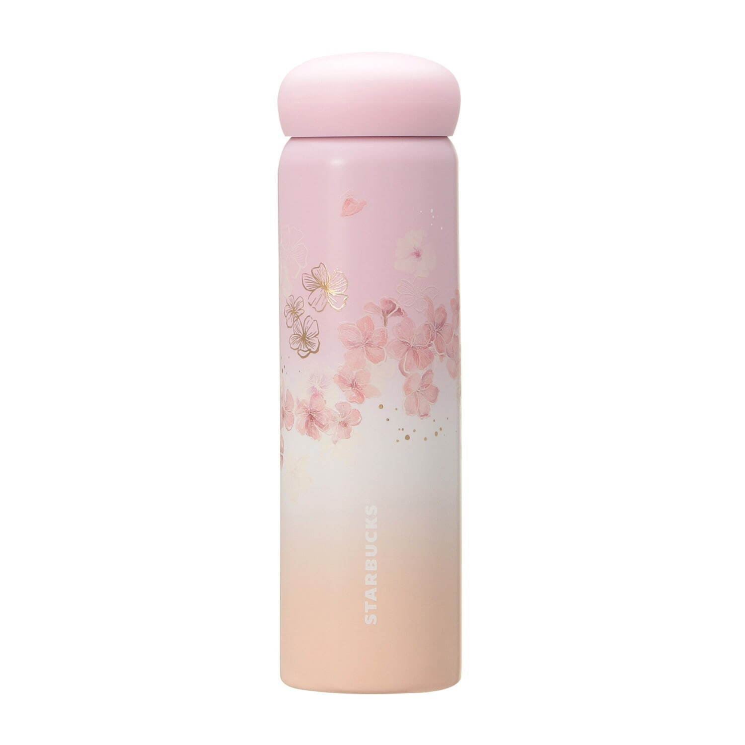 スターバックス(Starbucks Coffee) SAKURA｜写真2