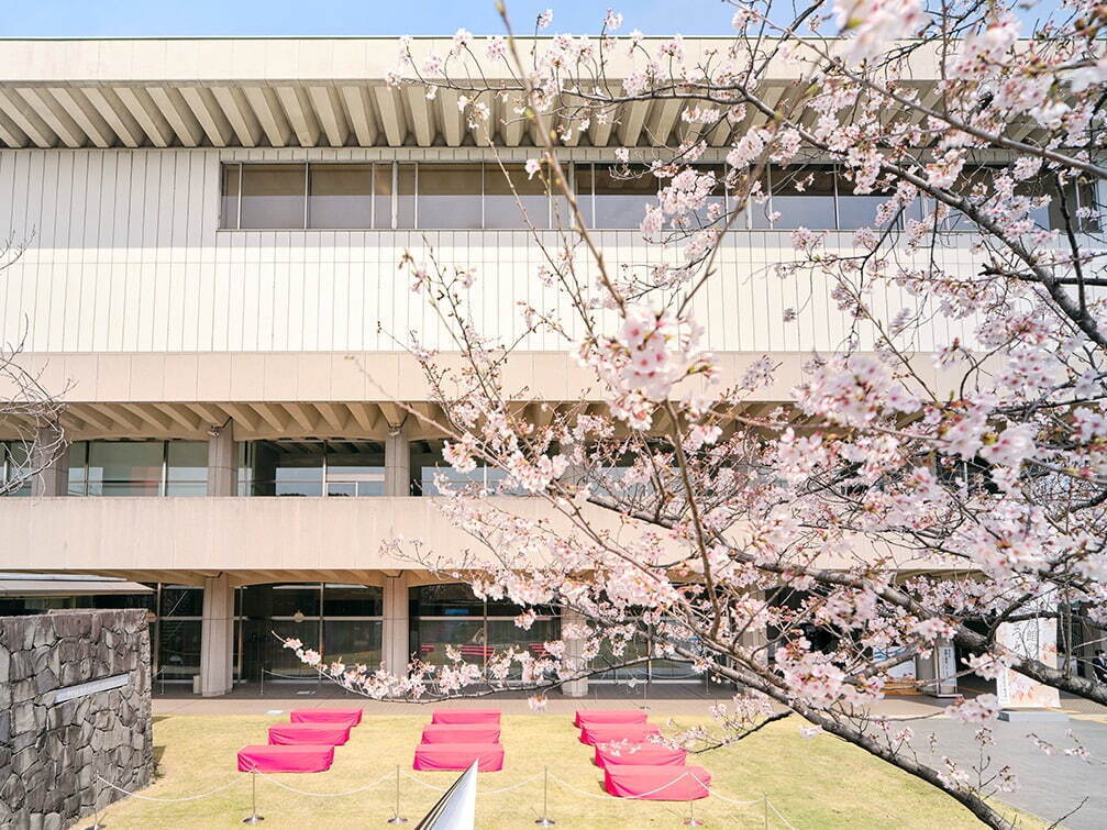 東京国立近代美術館「美術館の春まつり」川合玉堂の《行く春》など桜を描いた作品が集結｜写真6