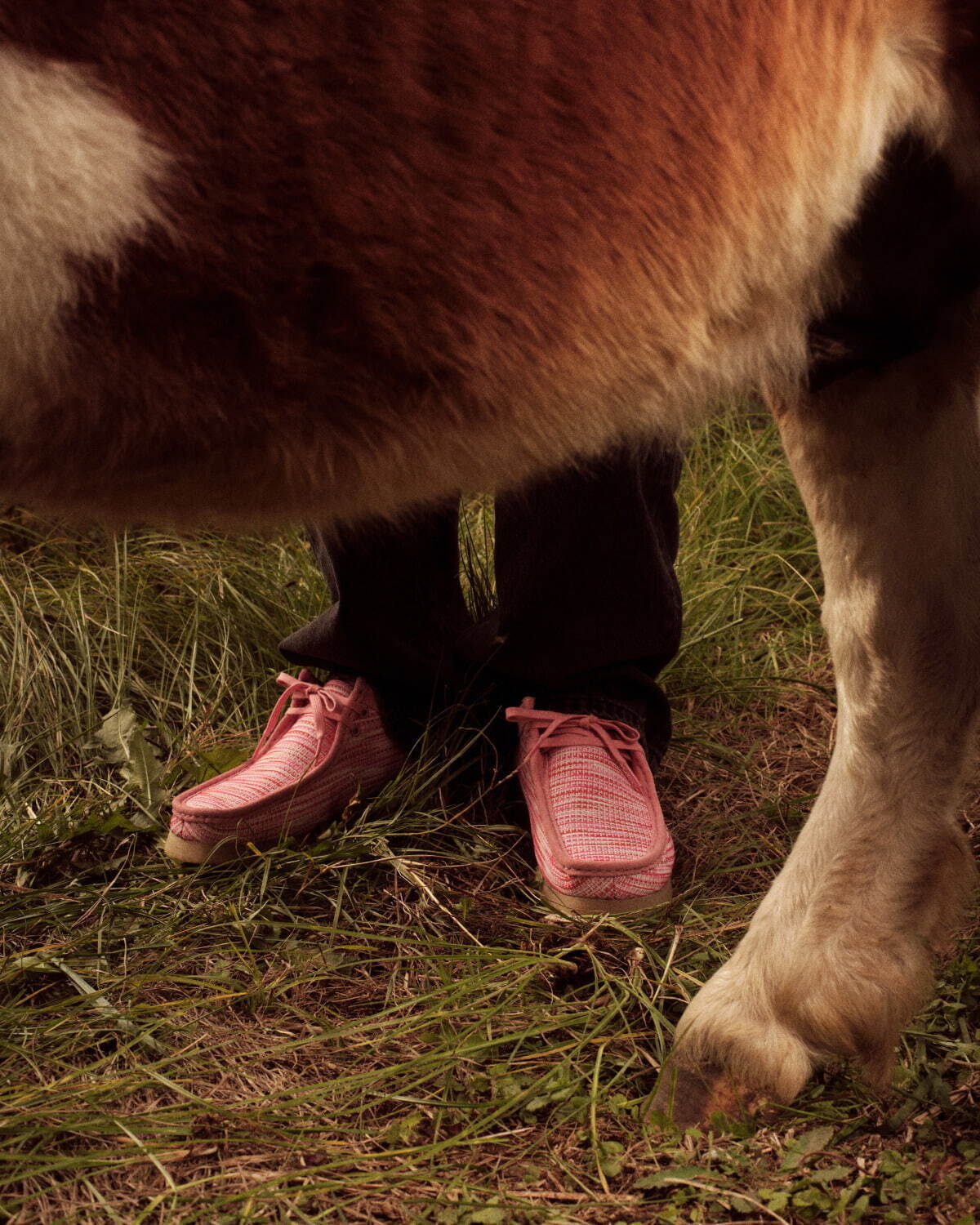 ボット(BoTT), クラークス(Clarks) ワラビー｜写真7