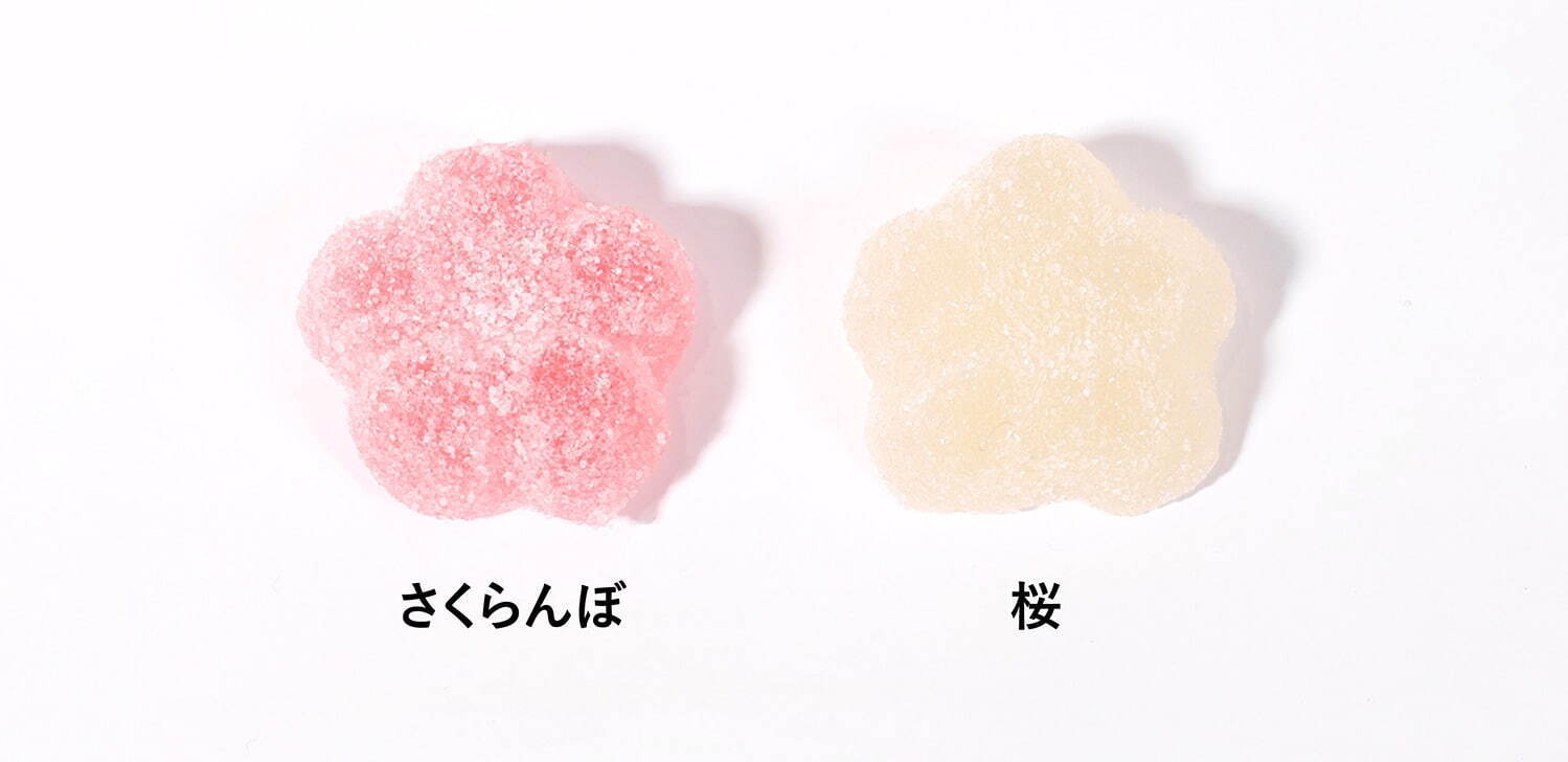 パパブブレ(PAPABUBBLE) 桜｜写真7