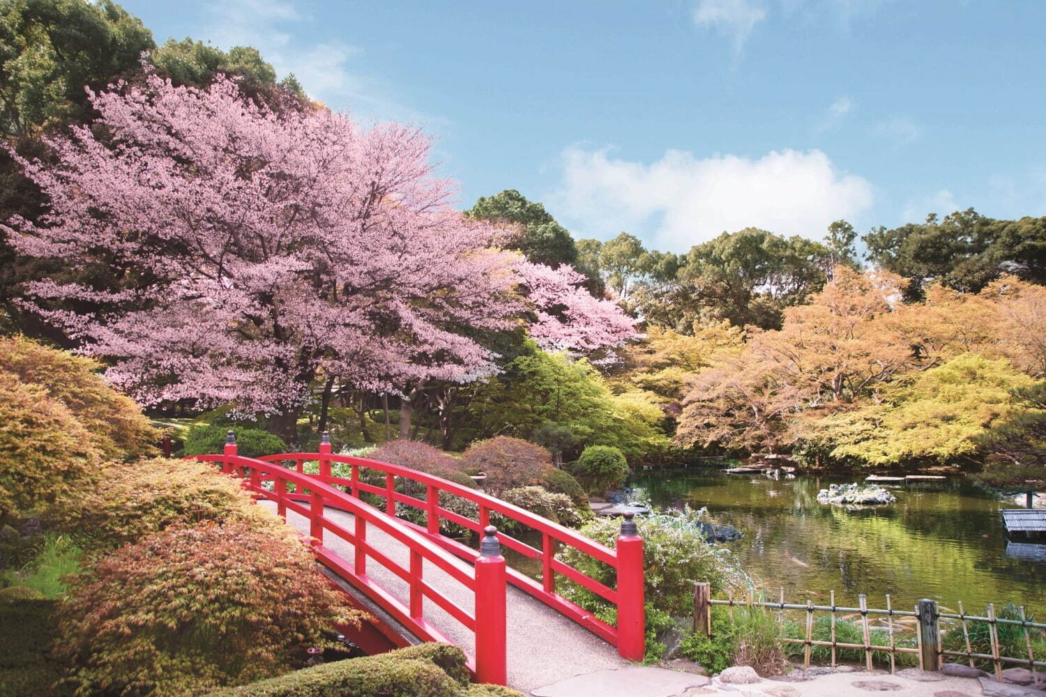 ホテルニューオータニ(東京)「桜めぐり」19種類の桜が咲き誇る日本庭園、夜桜のライトアップも | 写真