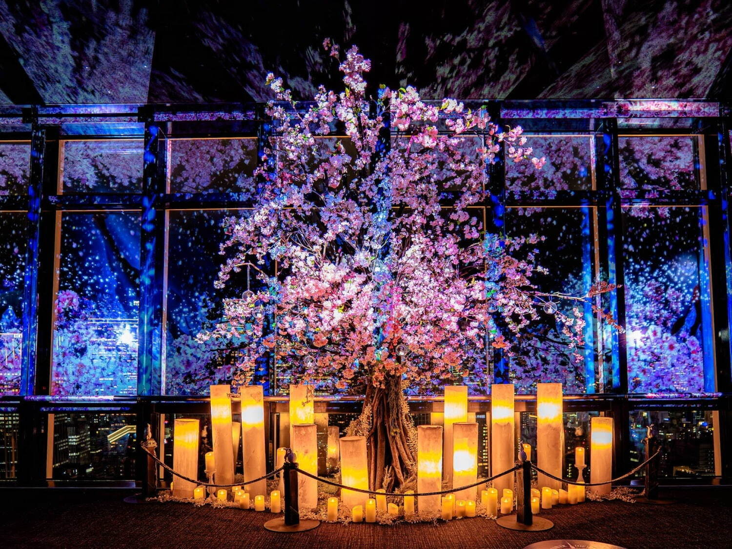 東京タワー“桜が彩る”春限定プロジェクションマッピングショー、ピンクに染まる東京夜景｜写真1