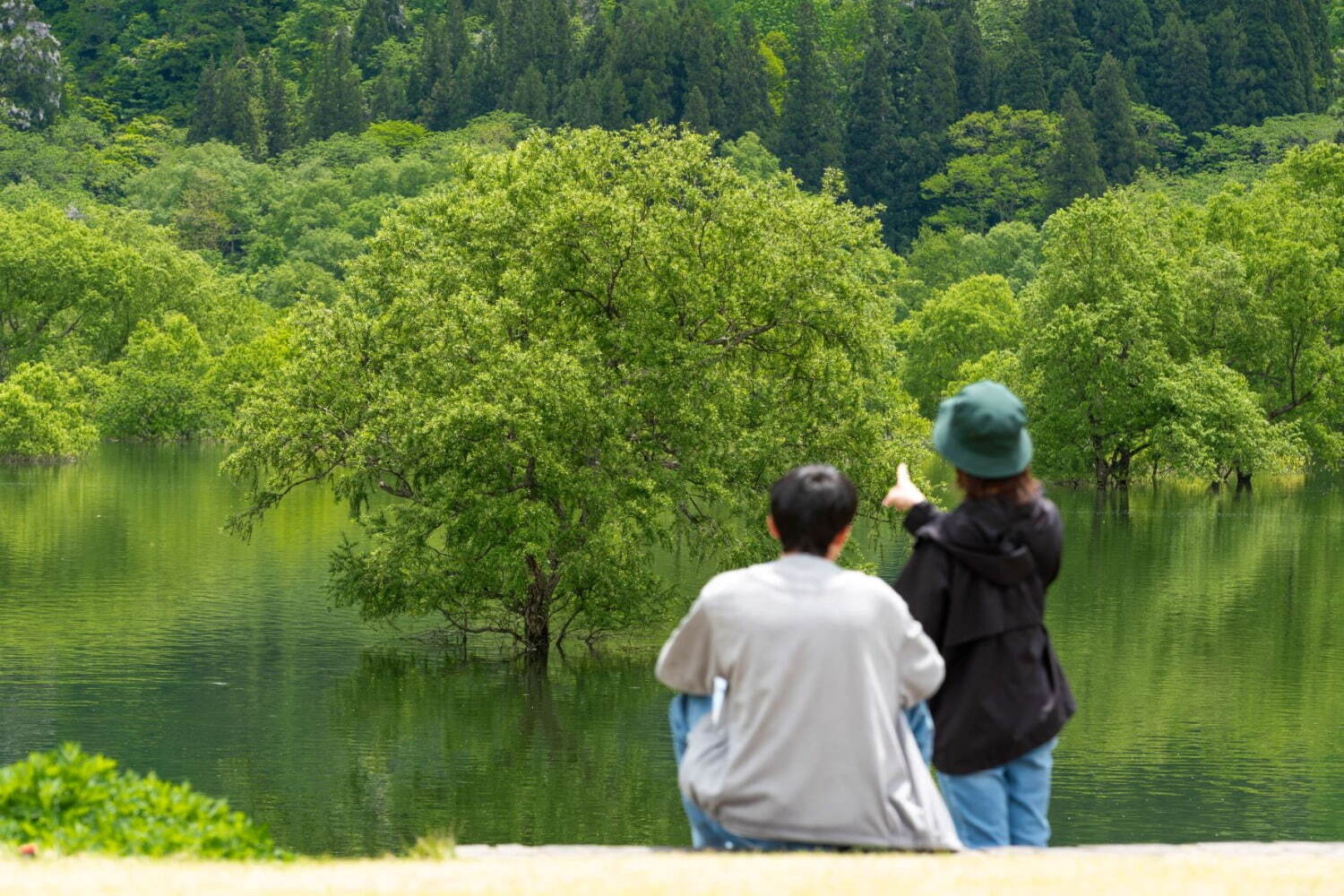 「白川湖の水没林」山形・飯豊町の春の絶景スポット、湖水に浮かぶ木々の幻想的な風景｜写真6