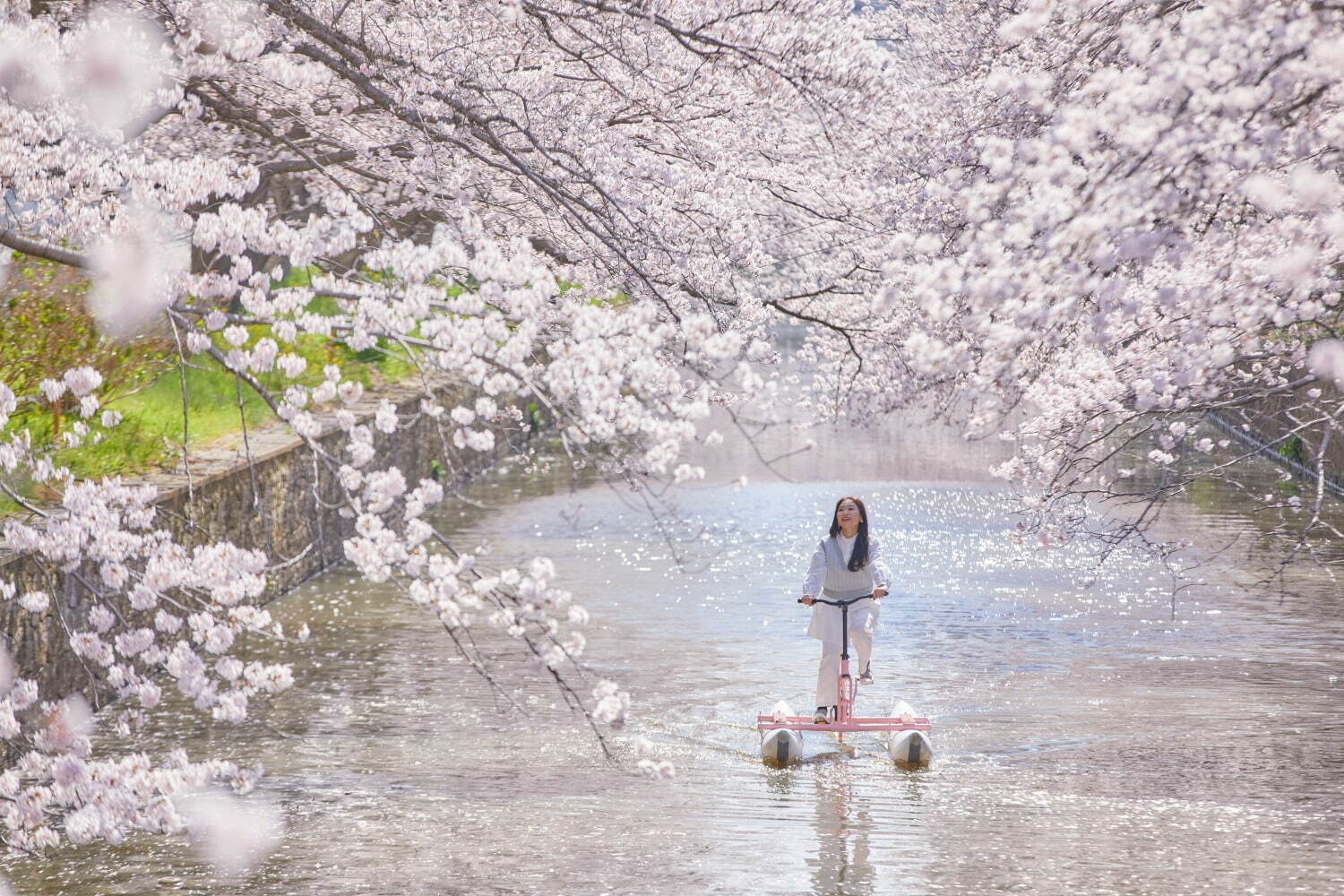 星野リゾート BEB5土浦の花見イベント、“水上自転車で楽しむ”約200本の桜並木｜写真1