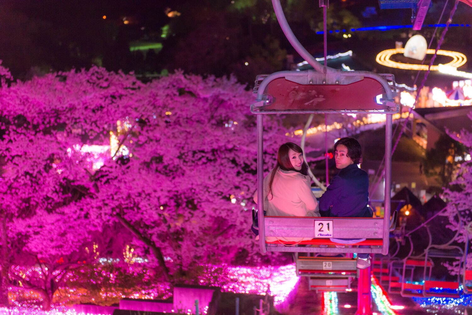 さがみ湖もりもり“関東最大級”2,500本の桜イベント、夜桜ライトアップのイルミネーションも｜写真19