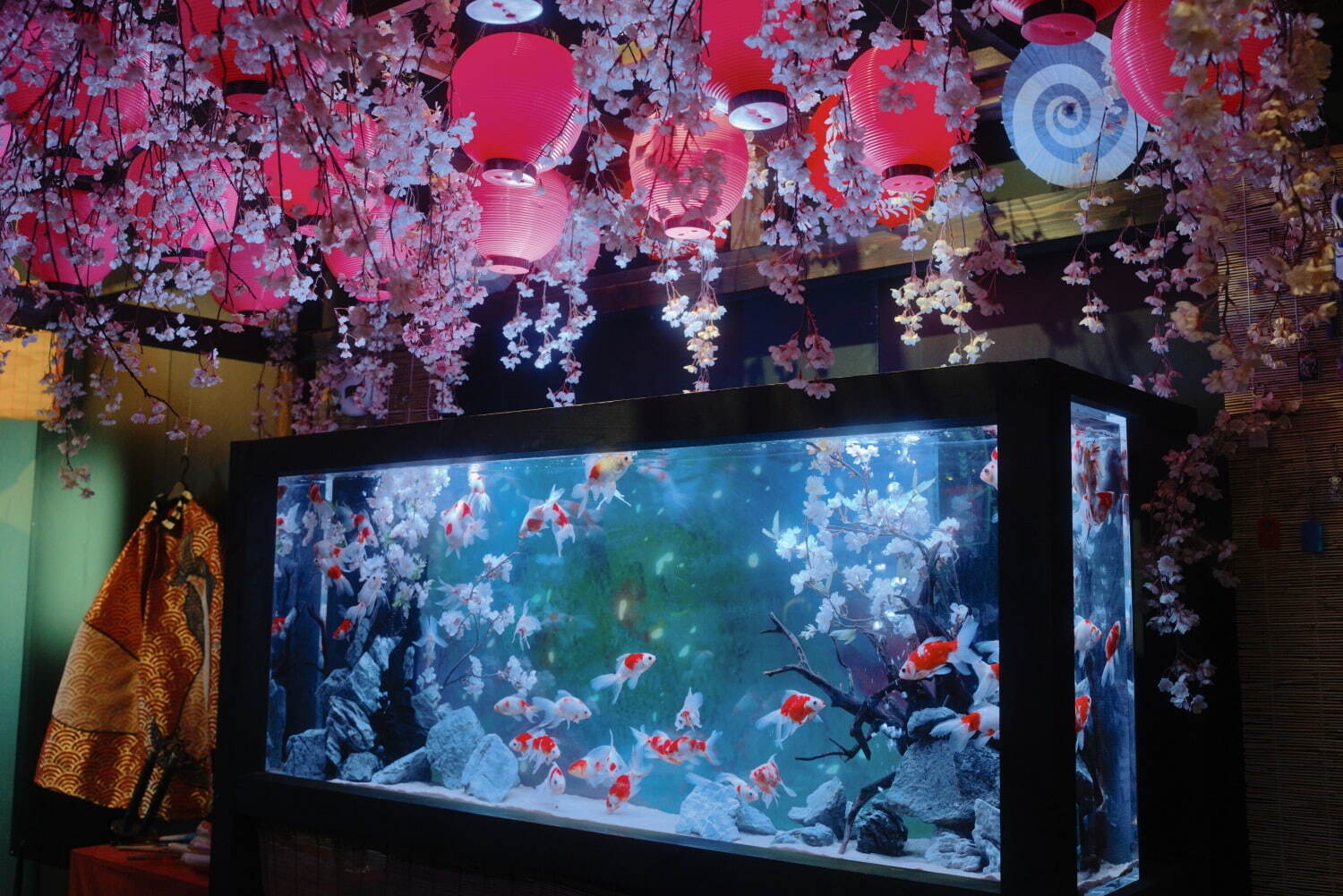 “桜空間×金魚”の特別展示「水景花明かり」アクアシティお台場で、花びらのように泳ぐ金魚たち｜写真2