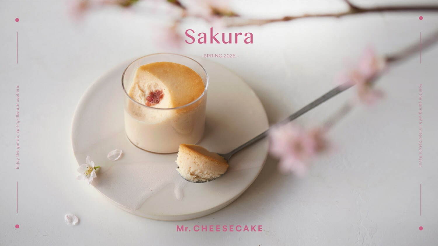 ミスターチーズケーキ(Mr. CHEESECAKE) 桜｜写真3