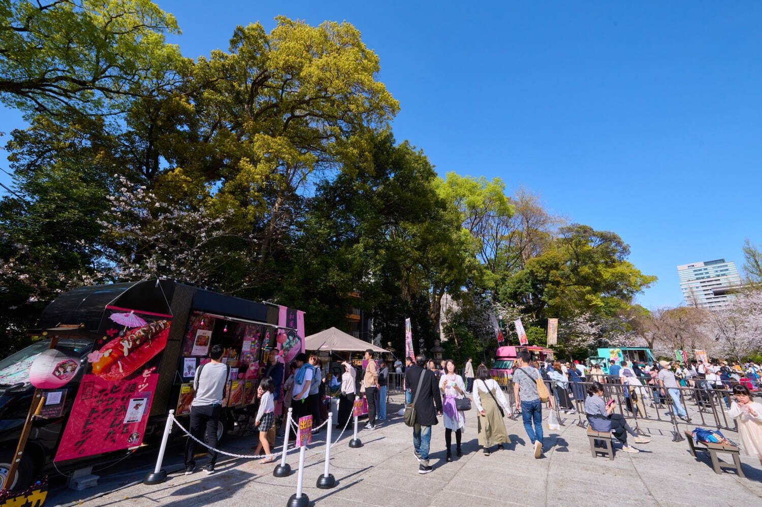 桜の名所「靖国神社」ソメイヨシノなど約500本が開花する花見スポット、「夜桜詣」ライトアップ｜写真2